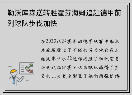 勒沃库森逆转胜霍芬海姆追赶德甲前列球队步伐加快